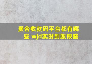 聚合收款码平台都有哪些 wjd实时到账银盛